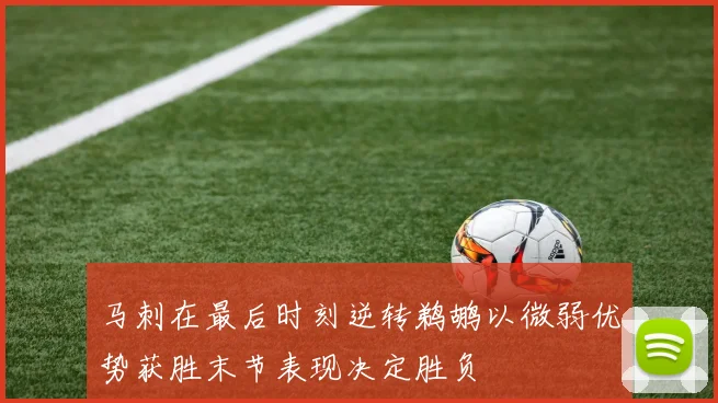 马刺在最后时刻逆转鹈鹕以微弱优势获胜末节表现决定胜负