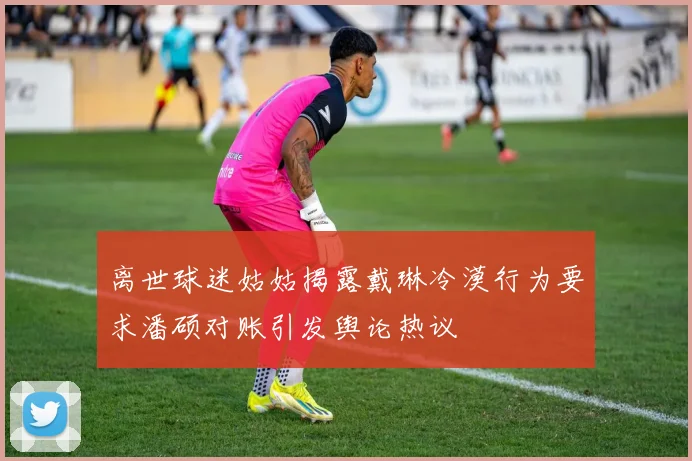 离世球迷姑姑揭露戴琳冷漠行为要求潘硕对账引发舆论热议