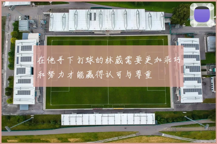 在他手下打球的林葳需要更加乖巧和努力才能赢得认可与尊重